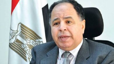 صورة وزير المالية: ١٤ مارس المقبل المهلة الاخير  للتسجيل بمبادرة «تيسير استيراد سيارات المصريين بالخارج»