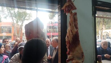 صورة الزراعة : طرح لحوم  صندوق التأمين على الثروة الحيوانية في منافذ الوزارة