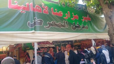 صورة يستمر خلال شهر رمضان.. الزراعة: اقبال كبير على معرض ” خير مزارعنا لأهالينا” بحديقة الاورمان