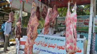 صورة الكباب ب210 جنيه.. اسعار اللحوم اليوم في الاسواق