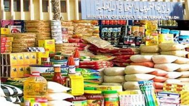 صورة المستوردين:12.4 % نموا في صادرات مصر إلى السودان