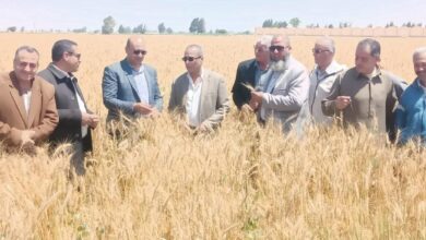 صورة وزير التموين : 5.5 مليون طن سعات وطاقات تخزينية لاستقبال موسم توريد القمح الجديد