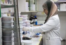 صورة متبقيات المبيدات يفحص 1000 عينة في أجازتي عيد الربيع وأول أيام أجازة عيد الفطر