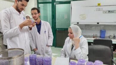 صورة معامل مكافحة العفن البنى في البطاطس تفحص عينات التصدير والسوق المحلى
