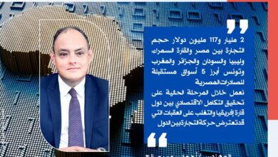 صورة وزيرالتجارة والصناعة : 2 مليار و117 مليون دولار حجم التجارة بين مصر والقارة السمراء