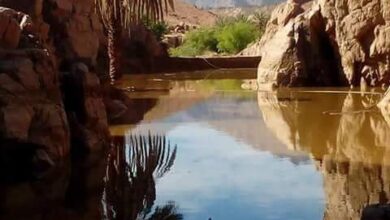 صورة «الري»: تعلن عن  المشروعات المائية لخدمة التنمية في سيناء إحتفالا بأعياد التحرير