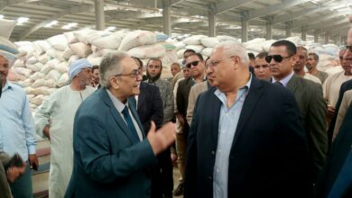 صورة شون البنك الزراعي  تستقبل 277 ألف مع بداية  موسم توريد القمح المحلي