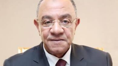 صورة تجارية الجيزة تشيد بقرارات المجلس الاعلى للاستثمار وتطالب بسرعة تنفيذها