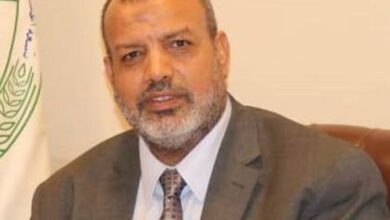صورة شُعبة الأدوات الصحية : توافر معروض السلع وراء استقرار السوق