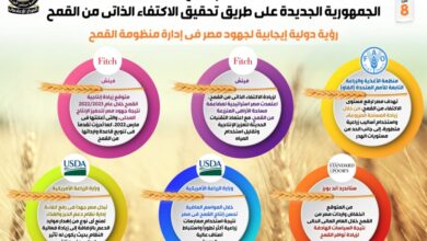 صورة إنفوجراف.. زراعة وتخزين واستيراد ودعم القمح .. أين كنا وكيف أصبحنا