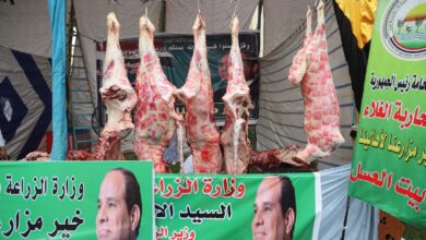 صورة اسعار اللحوم الحمراء اليوم الاحد في الاسواق ولدى الجزارين