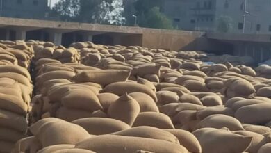 صورة التموين : ضبط 700 طن قمح محلي بأحد مخازن مركز القوصية بأسيوط