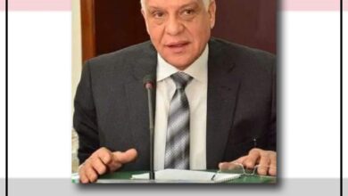 صورة محافظة الجيزة تضبط 16 طن مصنعات لحوم وأسماك مملحة ومدخنة فاسدة