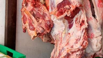 صورة “صحة الحيوان ” تكشف عن أفضل طريقة لتخزين لحوم العيد