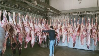صورة رئيس هيئة الخدمات البيطرية يتفقد حديقتي الأسماك وحيوان الفيوم ومجزر البساتين