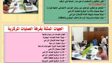 صورة انفوجراف.. تعرف على أبرز أنشطة وزارة الزراعة خلال إجازة عيد الأضحى