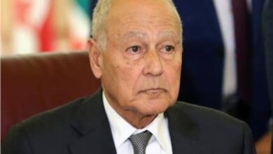 صورة فى زيارة الاولى من نوعها..  أبو الغيط يستقبل نائب رئيس وزراء  فيتنام