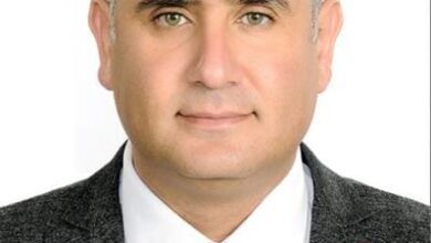 صورة خبير يكشف كيف تؤمن مصر احتياجاتها من الغذاء ببدائل أخرى