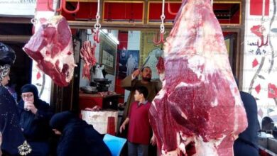 صورة الكندوز ب300جنيه.. استقرار اسعار اللحوم اليوم في الاسواق