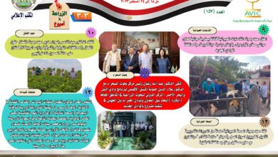 صورة انفوجراف..  نشرة حصاد “الزراعة في اسبوع”
