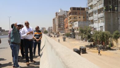 صورة محافظ الجيزة يتابع أعمال طلاء واجهات العقارات المطله علي الطريق الدائرى بنطاق الطالبية