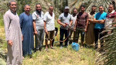 صورة الزراعة” تستعرض تقريرا حول أبرز أنشطة “المركزي للنخيل”