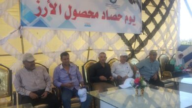 صورة “البحوث الزراعية” ينظم يوم حقلي لحصاد محصول الارز  بمحافظة الدقهلية(صور)
