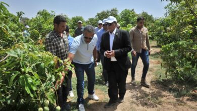 صورة رئيس الريف المصري : تشجيع الاستثمارات الخضراء فى مختلف أراضى المشروع .. ونتصدى لمشكلتى التصحر