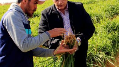 صورة ” شركة الريف المصري” تكشف عن حزمة من الدعم  والتيسيرات لمزارعى مشروع الـ ١.٥ مليون فدان(صور)