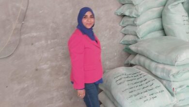 صورة حملات مكثفة على الاسواق التجارية والانشطة التموينية بالجيزة