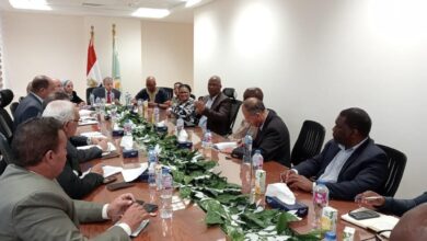 صورة “الزراعة” تبحث مع جنوب أفريقيا التعاون  في مجال الاستزراع السمكى وتبادل السلع والمنتجات الزراعية