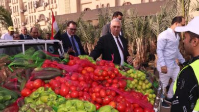 صورة “الزراعة” تطلق أكبر قافلة منافذ متحركة بالسلع الغذائية إلى محافظة شمال سيناء بتخفيض 50%