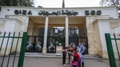 صورة بدء تنفيذ مخطط تطوير حديقتي الحيوان والأورمان