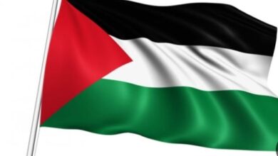 صورة أبو الغيط يستقبل وزيري خارجية ايطاليا وليتوانيا لبحث الأوضاع في الأراضي الفلسطينية