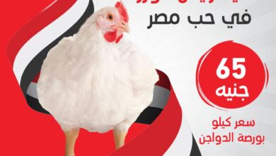 صورة “كايرو ثري ايه “تطرح الدواجن المجمدة للمستهلك مقابل 105 جنيهات للكيلو.. و الحى بـ 65 جنيه للكيلو