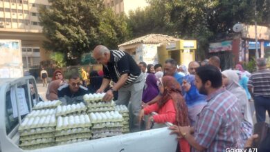 صورة  إطلاق ٨ منافذ متحركة لبيع بيض المائدة ب١١٥ جنيه للكرتونة في عدد من المحافظات