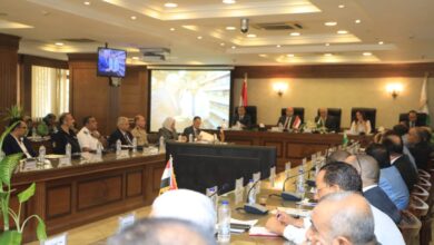 صورة محافظةالجيزة : إنجاز 99 % من إجمالى الشكاوى وتلقى 16154 معاملة بالمراكز التكنولوجيا