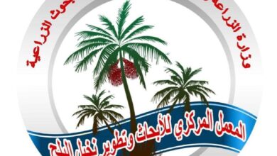 صورة المركزي للنخيل ينظم ورشة عمل حول تسويق منتجات التمور محليا ودوليا