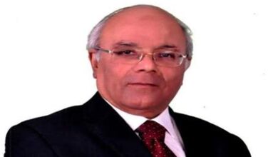 صورة الغرف التجارية: رغبة الشركات اليابانية في ضخ استثمارات جديدة بمصر