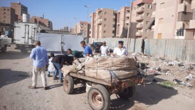صورة محافظة الجيزة تغلق مخازن للكراتين والخردة داخل الكتلة السكنية