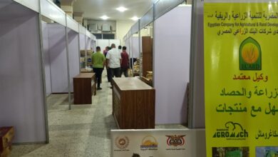 صورة غداً أفتتاح مهرجان الجيزة للتمور بنادي الزراعيين