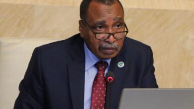 صورة “الدخيرى” يلتقي شين لبحث سبل التعاون الامنى الغذائى