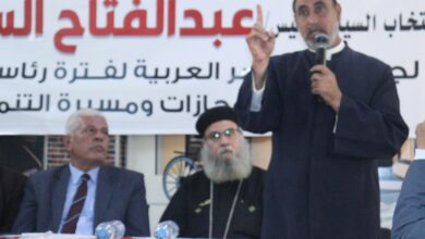 صورة نقيب الزراعيين: اهتمام الرئيس بملف القمح والامن الغذائي للمصريين يدفعنا لتاييد انتخابه رئيسا لمصر
