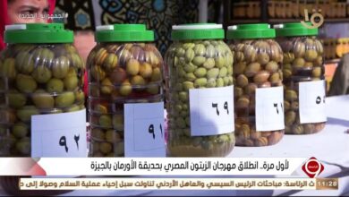 صورة مشاركات عالميه فى المهرجان المصرى للزيتون