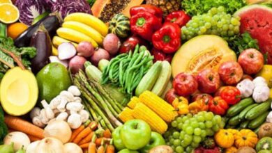 صورة ارتفاع الصادرات الزراعية المصرية  الى 6،1 مليون طن