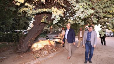 صورة وزير الزراعة يوجه بتأمين مبنى الوزارة القديم في الدقي بالجيزة لحين الانتهاء من خطة  استغلاله