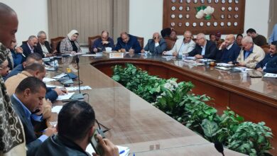 صورة الزراعة : تسويق نصف مليون قنطار قطن في مزاد بالاسكندرية