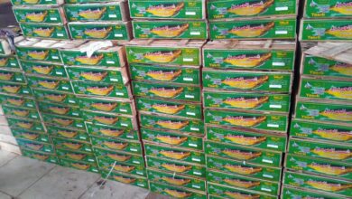 صورة سلامة الغذاء: تصدير 5640 رسالة غذائية  والبطاطا تتصدر قائمة الخضروات