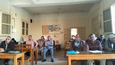 صورة الارشاد الزراعي يدرب المنتجين على كيفية زيادة وجودة  انتاج محصول البطاطس