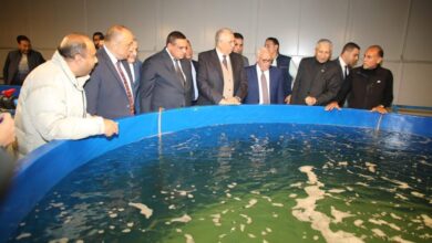 صورة وزيرا الزراعة والتنمية المحلية ومحافظ بورسعيد يتفدون مفارخ الأسماك ببورسعيد